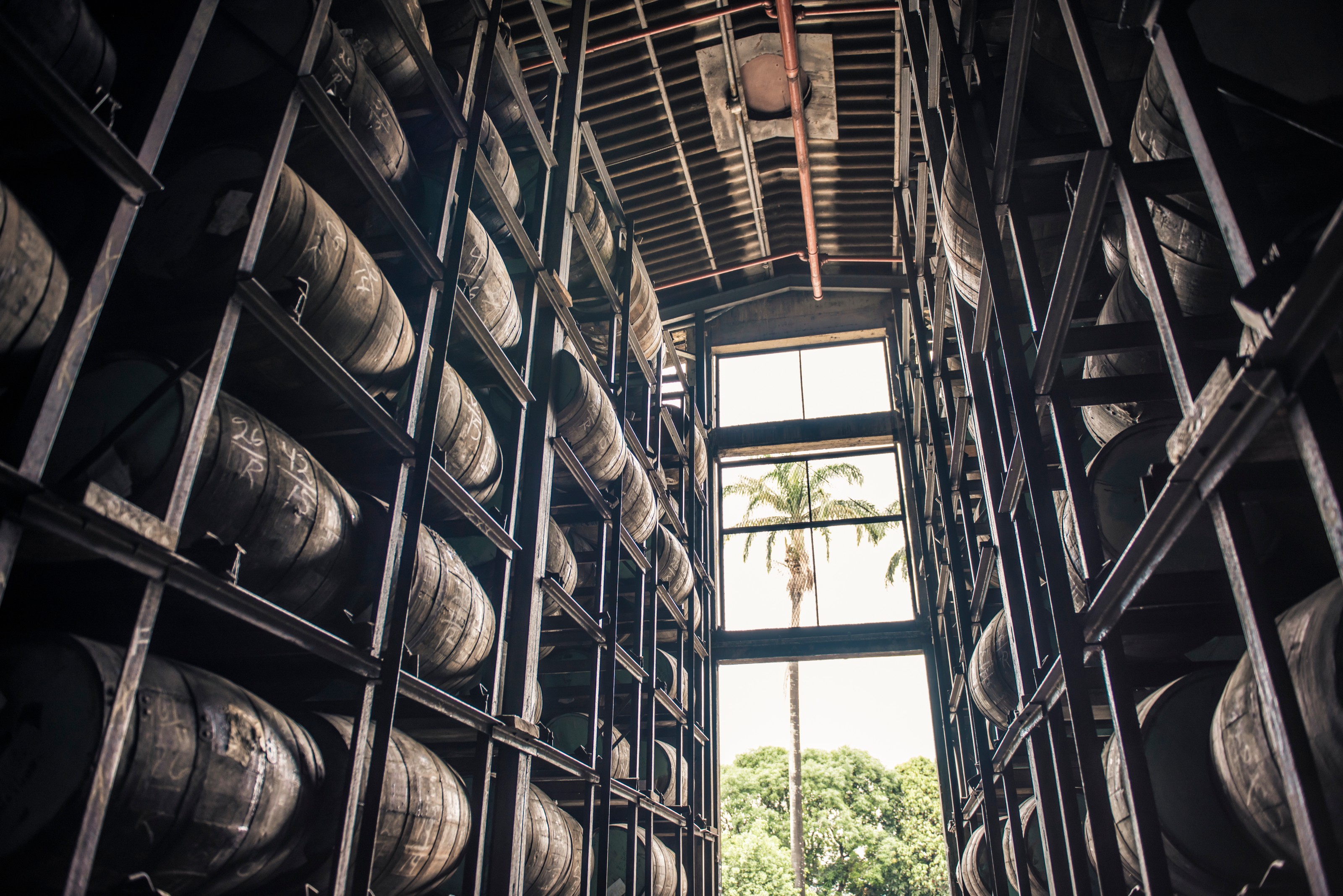 diplomatico warehouse